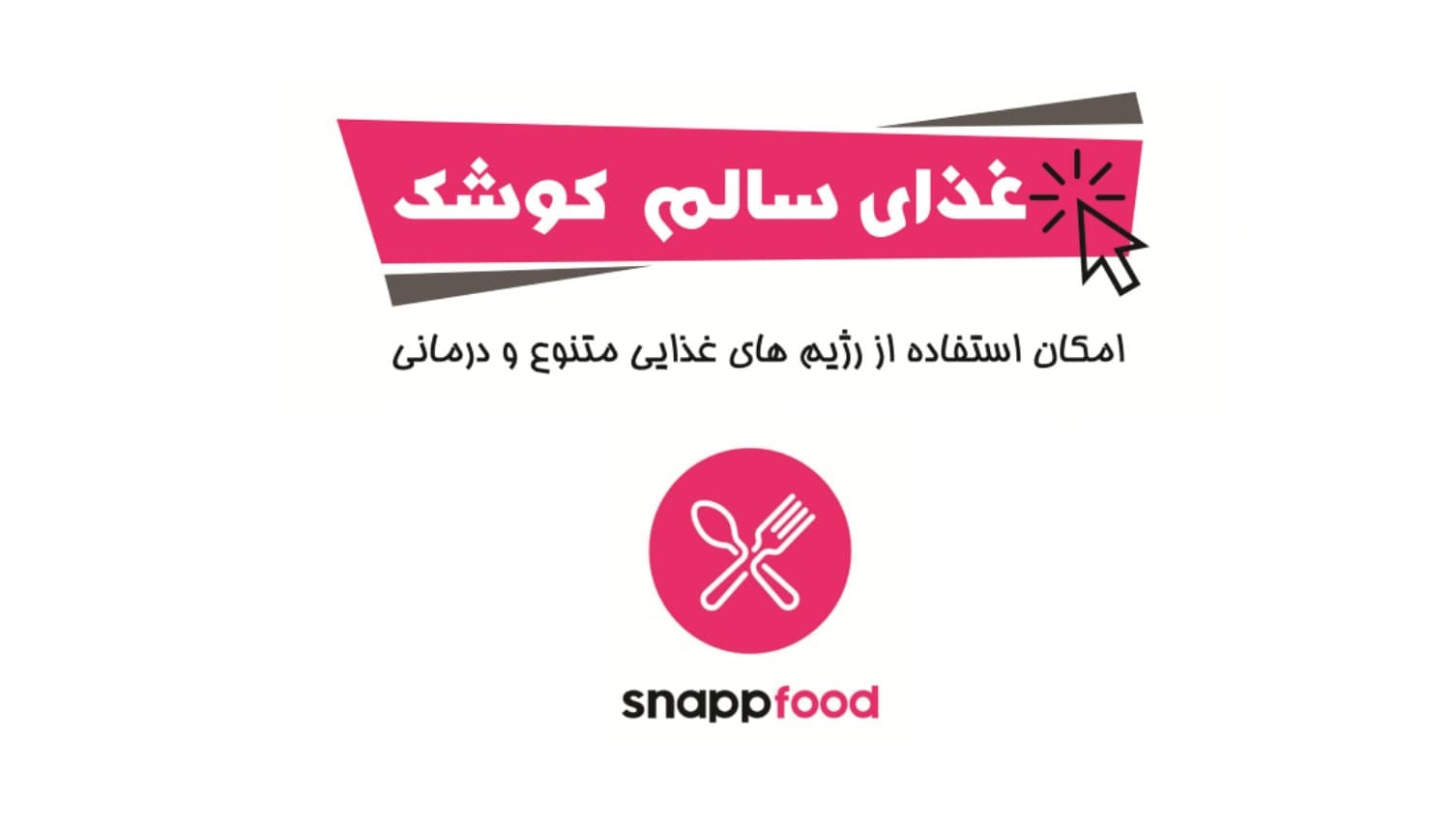 تهيه غذاي سالم كوشك