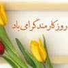 ولادت امام رضا (ع) و روز كارمند در بيمارستان آتيه